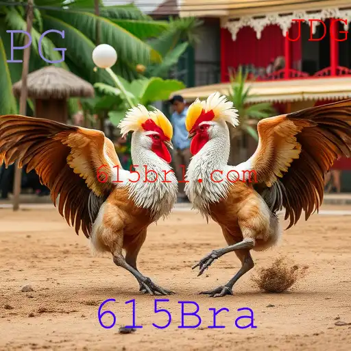 Jogos de sabong